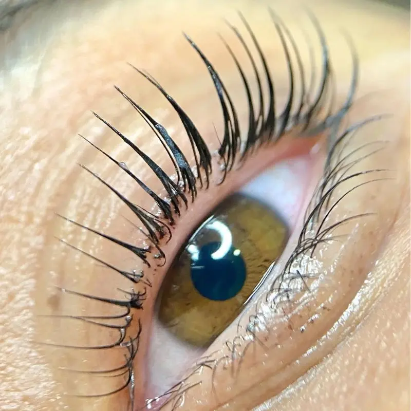 Lash Lift Coréen result