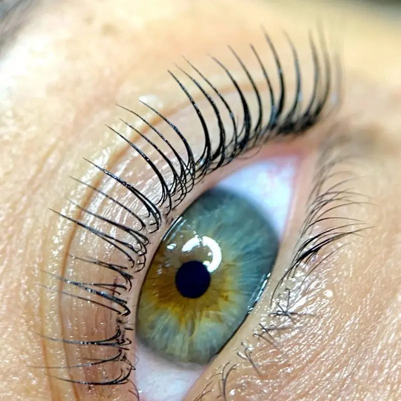 Lash Lift Coréen result