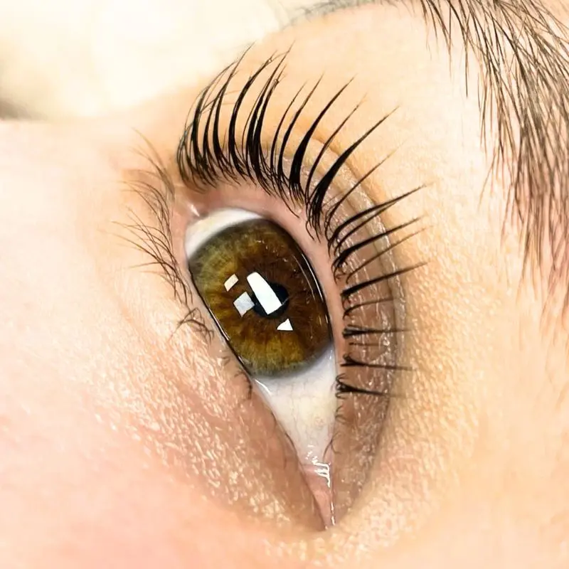 Lash Lift Coréen result